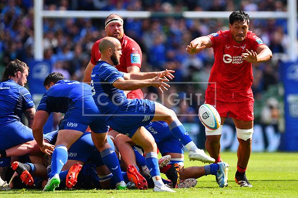 FIL LEINSTER SCARLETS