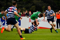 AIL 2B Promotion playoff. Greystones RFC v Blackrock College RFC. Saturday 30th April. Dr Hickey Park.