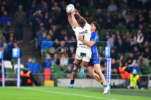 FIL LEINSTER SHARKS