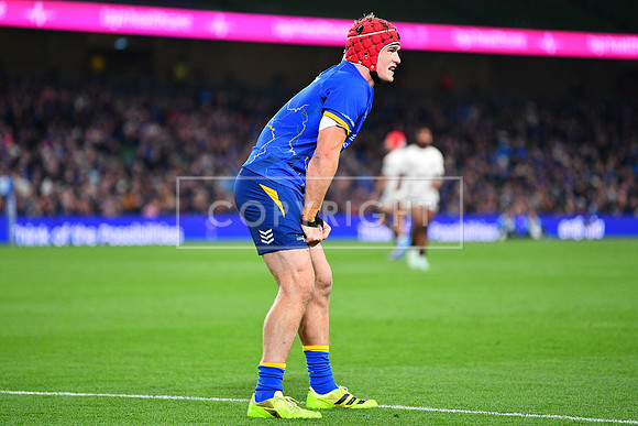 FIL LEINSTER SHARKS