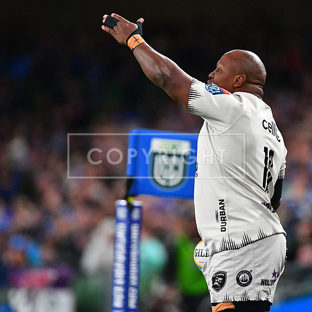 FIL LEINSTER SHARKS