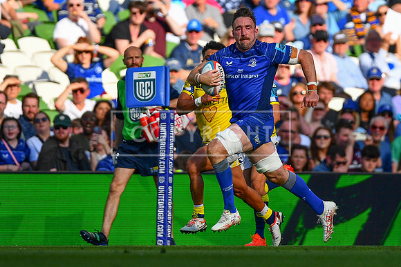 FIL LEINSTER ZEBRE