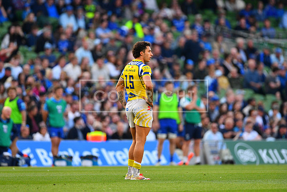 FIL LEINSTER ZEBRE
