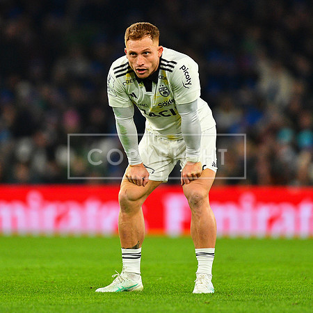 FIL LEINSTER LA ROCHELLE