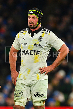 FIL LEINSTER LA ROCHELLE