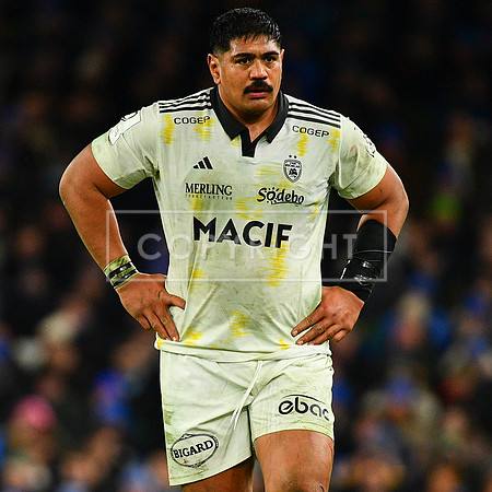FIL LEINSTER LA ROCHELLE