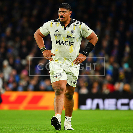 FIL LEINSTER LA ROCHELLE