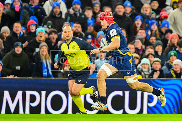 FIL LEINSTER LA ROCHELLE