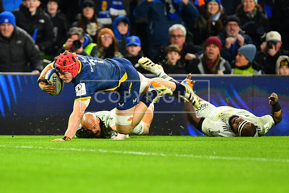 FIL LEINSTER LA ROCHELLE