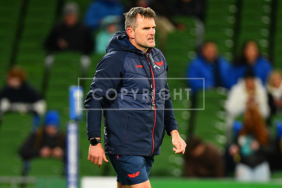 FIL LEINSTER SCARLETS