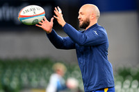 FIL LEINSTER SCARLETS