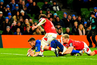 FIL LEINSTER SCARLETS