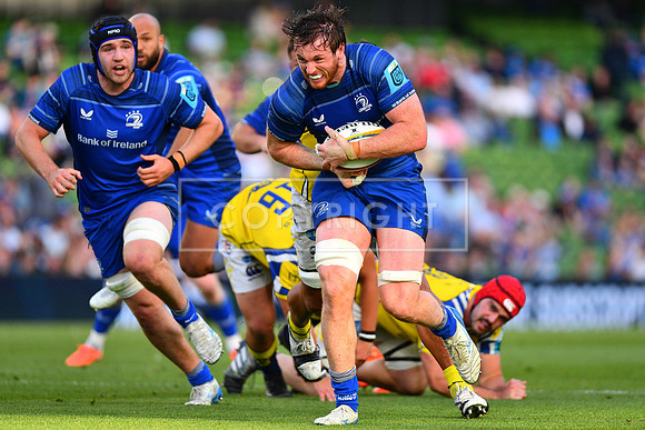 FIL LEINSTER ZEBRE
