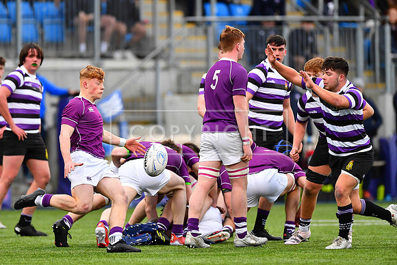 Clongowes Tom Murtagh with the box kick.