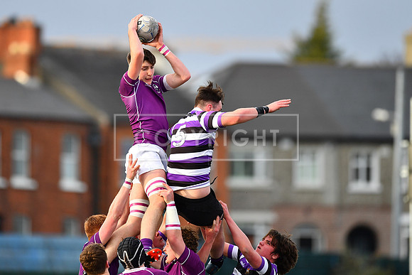 Blayze Molloy of Clongowes secures the lineout.