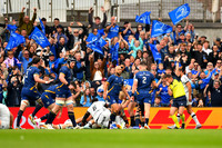 FIL LEINSTER TOULON