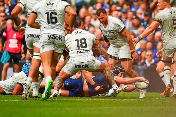 FIL LEINSTER TOULON
