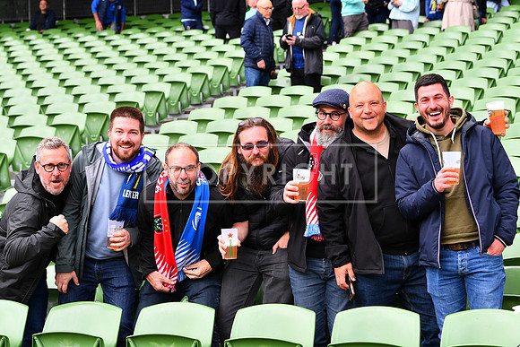 FIL LEINSTER TOULON