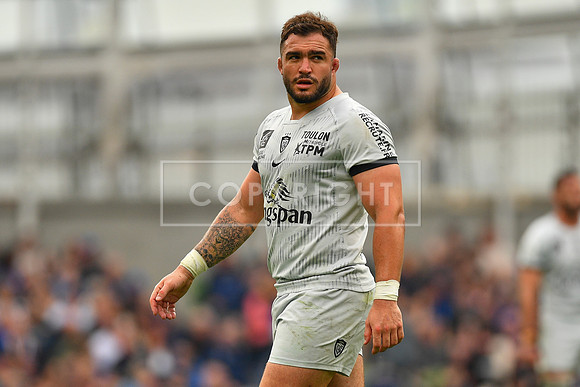 FIL LEINSTER TOULON