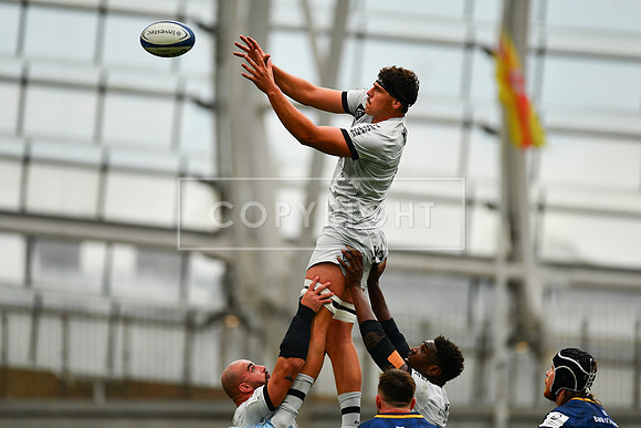 FIL LEINSTER TOULON