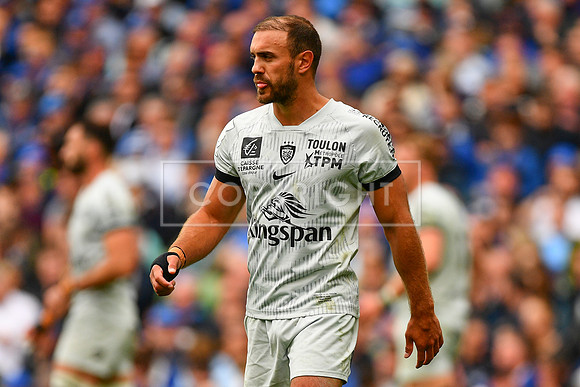 FIL LEINSTER TOULON