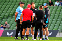 FIL LEINSTER LIONS