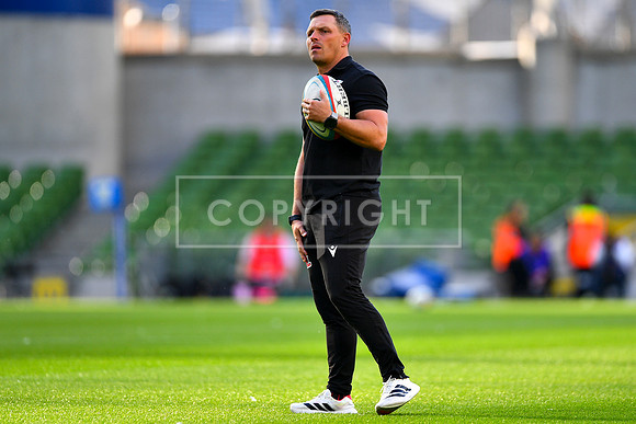 FIL LEINSTER LIONS
