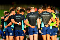 FIL LEINSTER LIONS