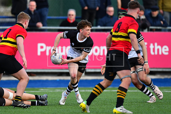 Newbridge College scrumhalf Tadhg Brophy with quick ball in the first half.