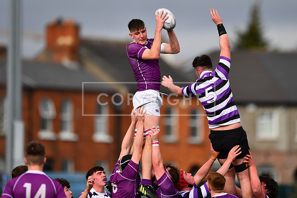 Blayze Molloy of Clongowes secures the lineout ball.