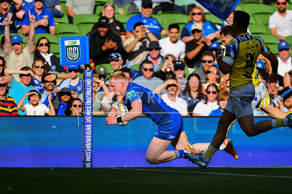 FIL LEINSTER ZEBRE