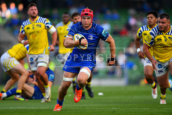 FIL LEINSTER ZEBRE