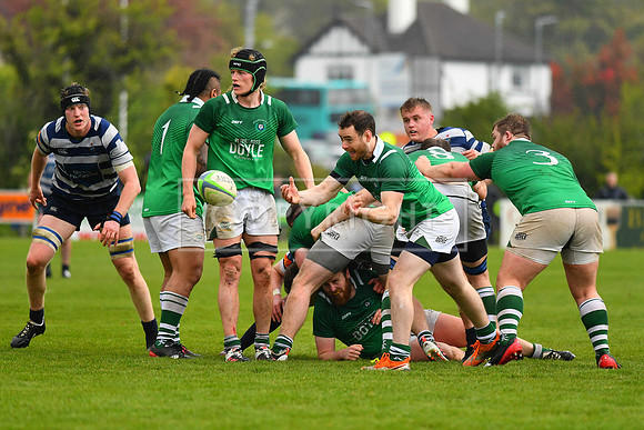 AIL 2B Promotion playoff. Greystones RFC v Blackrock College RFC. Saturday 30th April. Dr Hickey Park.