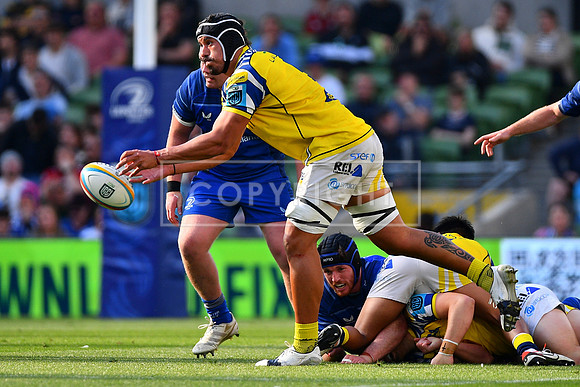 FIL LEINSTER ZEBRE