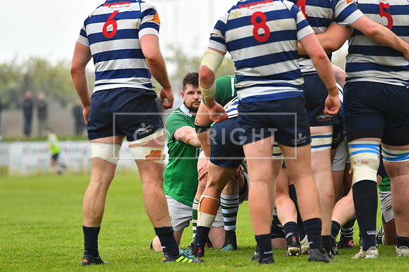 AIL 2B Promotion playoff. Greystones RFC v Blackrock College RFC. Saturday 30th April. Dr Hickey Park.