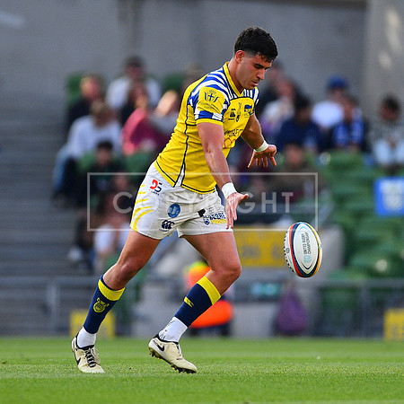 FIL LEINSTER ZEBRE