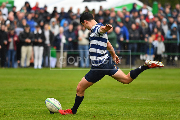 AIL 2B Promotion playoff. Greystones RFC v Blackrock College RFC. Saturday 30th April. Dr Hickey Park.