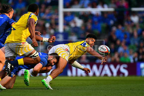 FIL LEINSTER ZEBRE