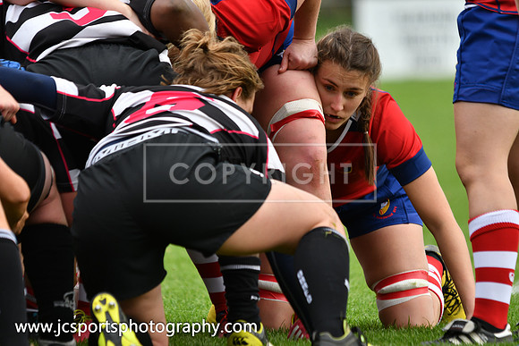 Old Belvedere Women 17 UL Bohs Women 21; October 7th 2018; Womens AIL Round 2