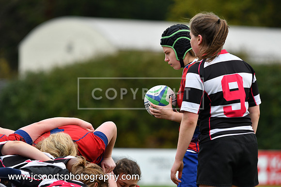 Old Belvedere Women 17 UL Bohs Women 21; October 7th 2018; Womens AIL Round 2