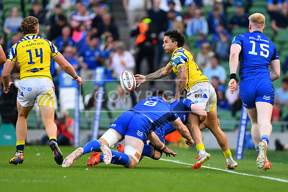 FIL LEINSTER ZEBRE