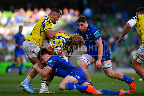 FIL LEINSTER ZEBRE