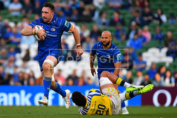 FIL LEINSTER ZEBRE
