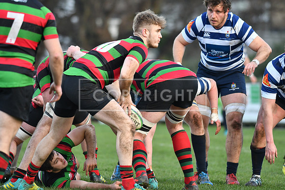 Blackrock College RFC 19 Highfield RFC 59; AIL 2A; Saturday 19th January