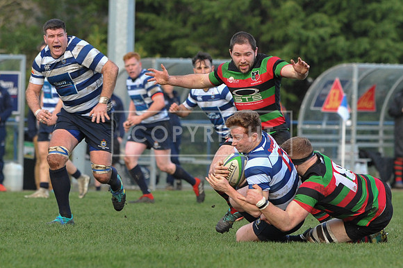 Blackrock College RFC 19 Highfield RFC 59; AIL 2A; Saturday 19th January