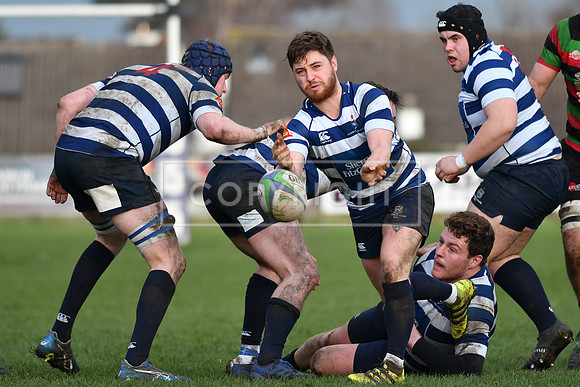 Blackrock College RFC 19 Highfield RFC 59; AIL 2A; Saturday 19th January