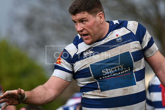Blackrock College RFC 19 Highfield RFC 59; AIL 2A; Saturday 19th January