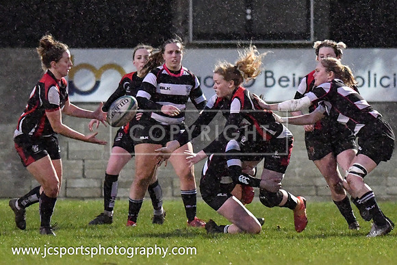 Old Belvedere RFC 5 Cooke RFC 0; January 26th 2019; Womens All Ireland League Round 10
