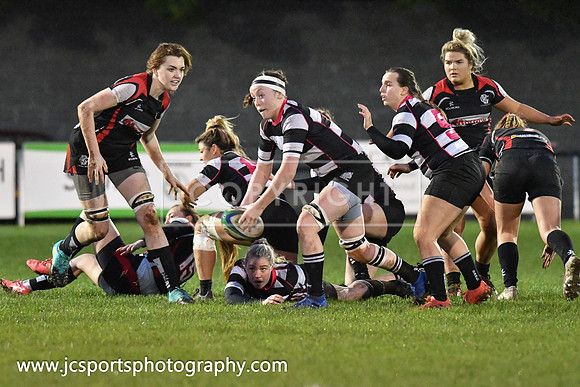 Old Belvedere RFC 5 Cooke RFC 0; January 26th 2019; Womens All Ireland League Round 10