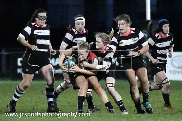 Old Belvedere RFC 5 Cooke RFC 0; January 26th 2019; Womens All Ireland League Round 10